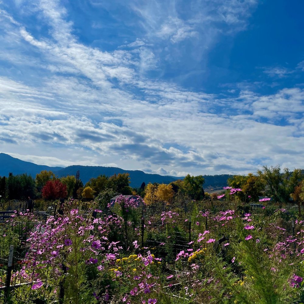 From Boulder, With Love